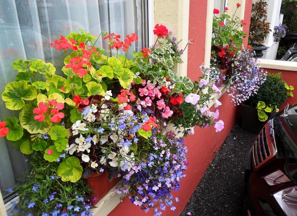 Achill House Hotel Cork Eksteriør billede